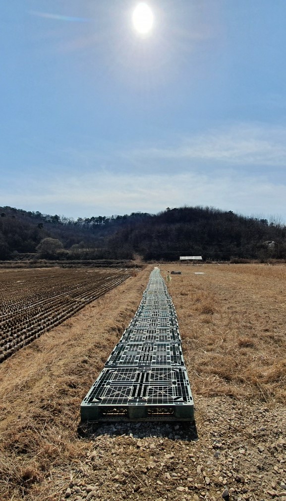 be890c399a2f69d8c7f61021562f880c_1617166238_1249.jpg be890c399a2f69d8c7f61021562f880c_1617166238_1249.jpg